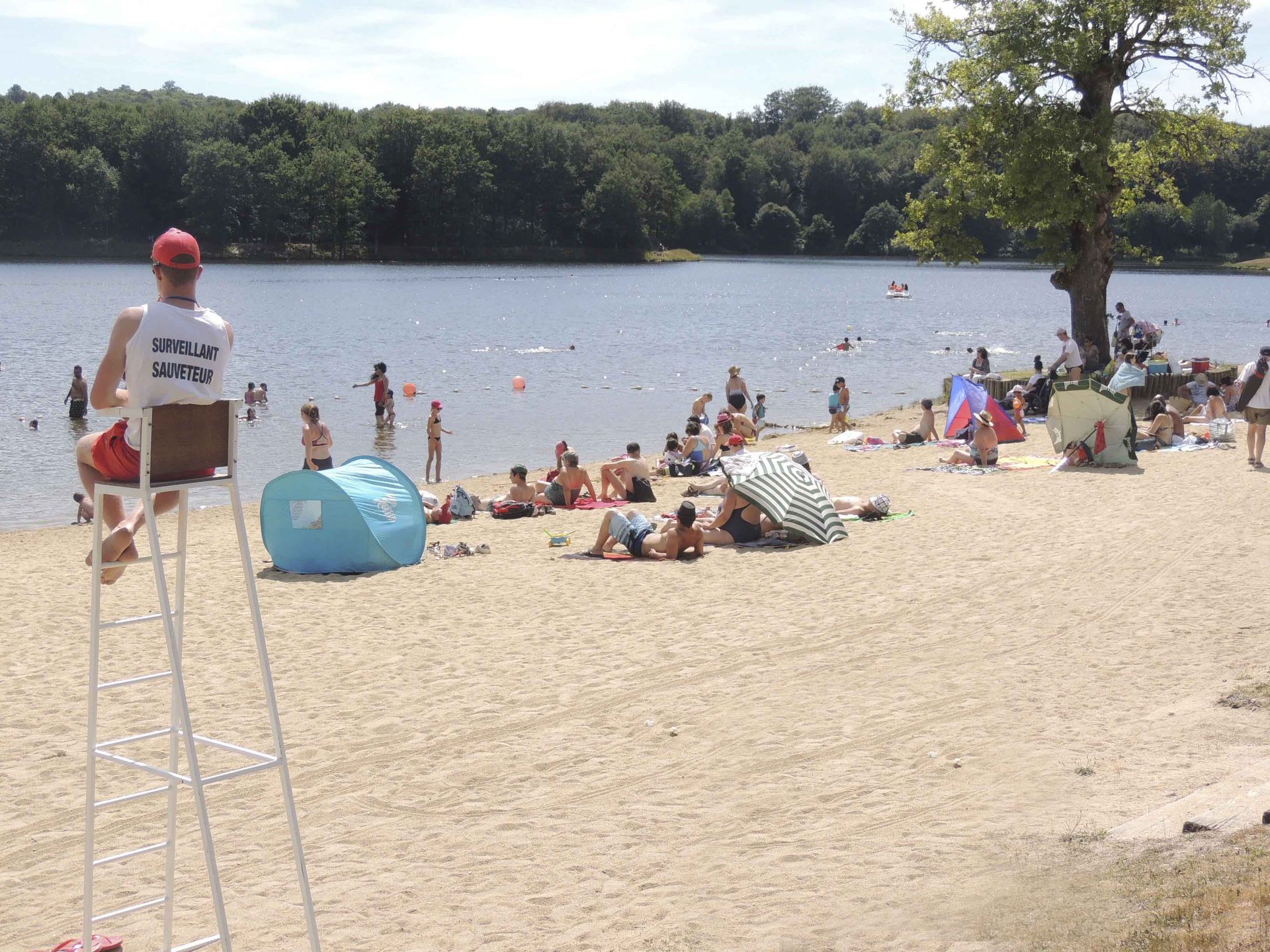 maitre nageur surveillant la plage